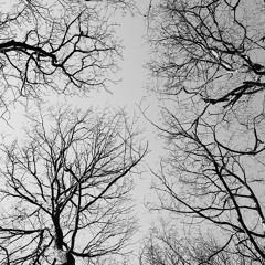 Lament (Under construction)