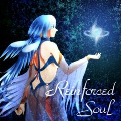 Reinforced Soul