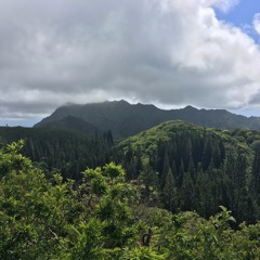 Welcome to the valley