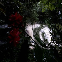 What Do You Want To Know (Jungle Uke Mixtape)