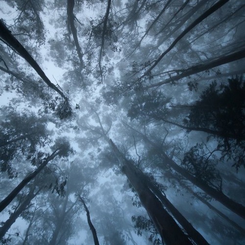 Jeschar- Sometimes oge