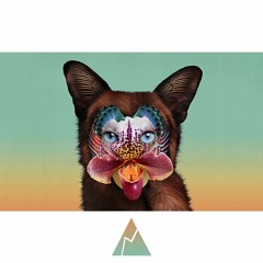 (Official) Galantis - No Money (Remix)
