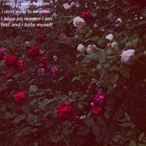 S O L U M  (prod. by Tape$)