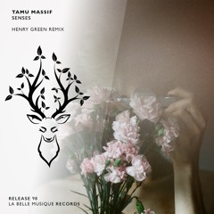 Tamu Massif - Senses (Henry Green Remix)