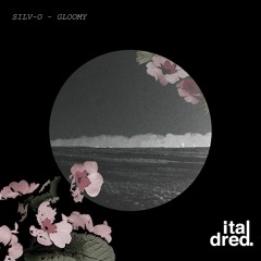 Exclusive Download: Silv-o - Gloomy