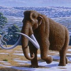 Mammoth Ska