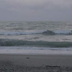 All that you have tried