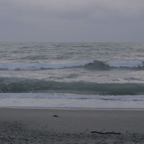 All that you have tried