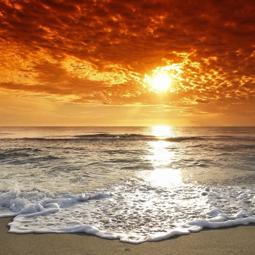 Shallow (A Star is Born) - GBX Mix