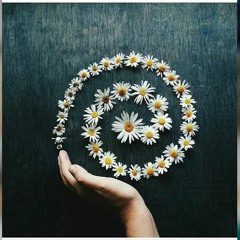 الفراغ و القرآن ..! | الشيخ.د: فريد الأنصارى