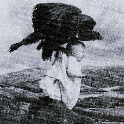 Flight Of The Sardonikus Child