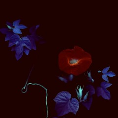 mood (slowed) // dvsn