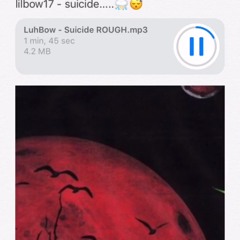 lilbow17 - Suicide
