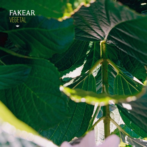 Fakear - First Sights