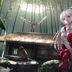 Towa No Maigo