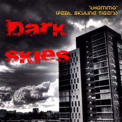 Dark Skies (feat. Skyline Tigers)