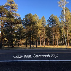Crazy (feat. Savannah Sky)