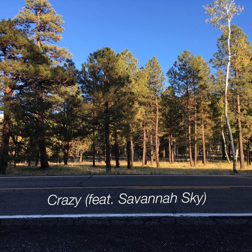 Crazy (feat. Savannah Sky)