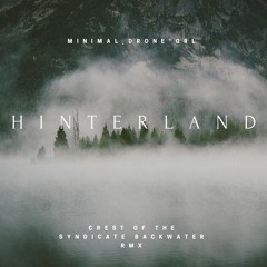 Hinterland (crest of the syndicate backwater rmx)