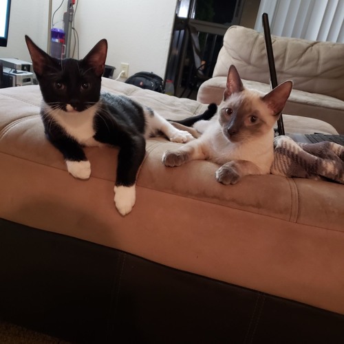 Tuck & Winston