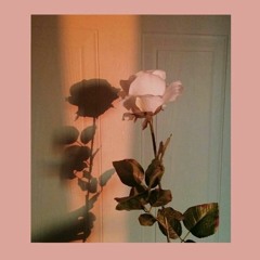 ｉｎ   ｒｅｔｕｒｎ