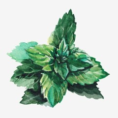 Mentha-Wicked Dreams (prod.21Productions)