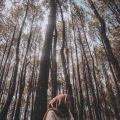 aaaa