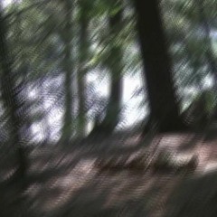 bitchimlink Ft. YZ FLACO(Prod. By DeReal)