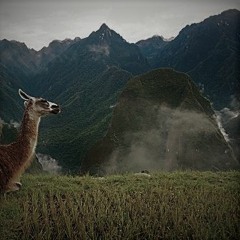 Come And Find Yourself