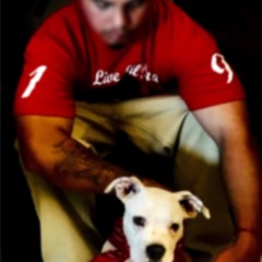 GUTTAKBOWSER2K-STICK 2 IT