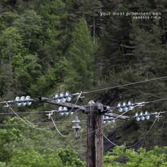 Oh ! Tiger Mountain - YourMostProminentSon - WednesdayLoveRemix