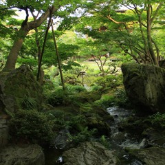 Waterfall The Niigata Saitou Villa Garden