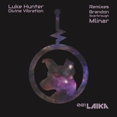 Luke Hunter - Divine Vibration (Original Mix) [Clip]