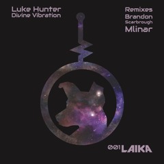 Luke Hunter - Divine Vibration (Mlinar Remix) [Clip]