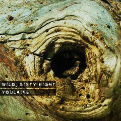 Wild.Sixty Eight |068| youlaike