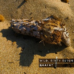 Wild.Sixty Seven |067| R ∆ ∆ F ∆ T