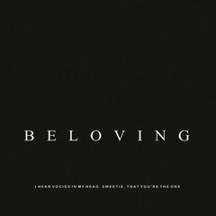 KVPV - Beloving