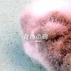 Ryogo Yamamori - Matatabi(Masafumi Take Remix)