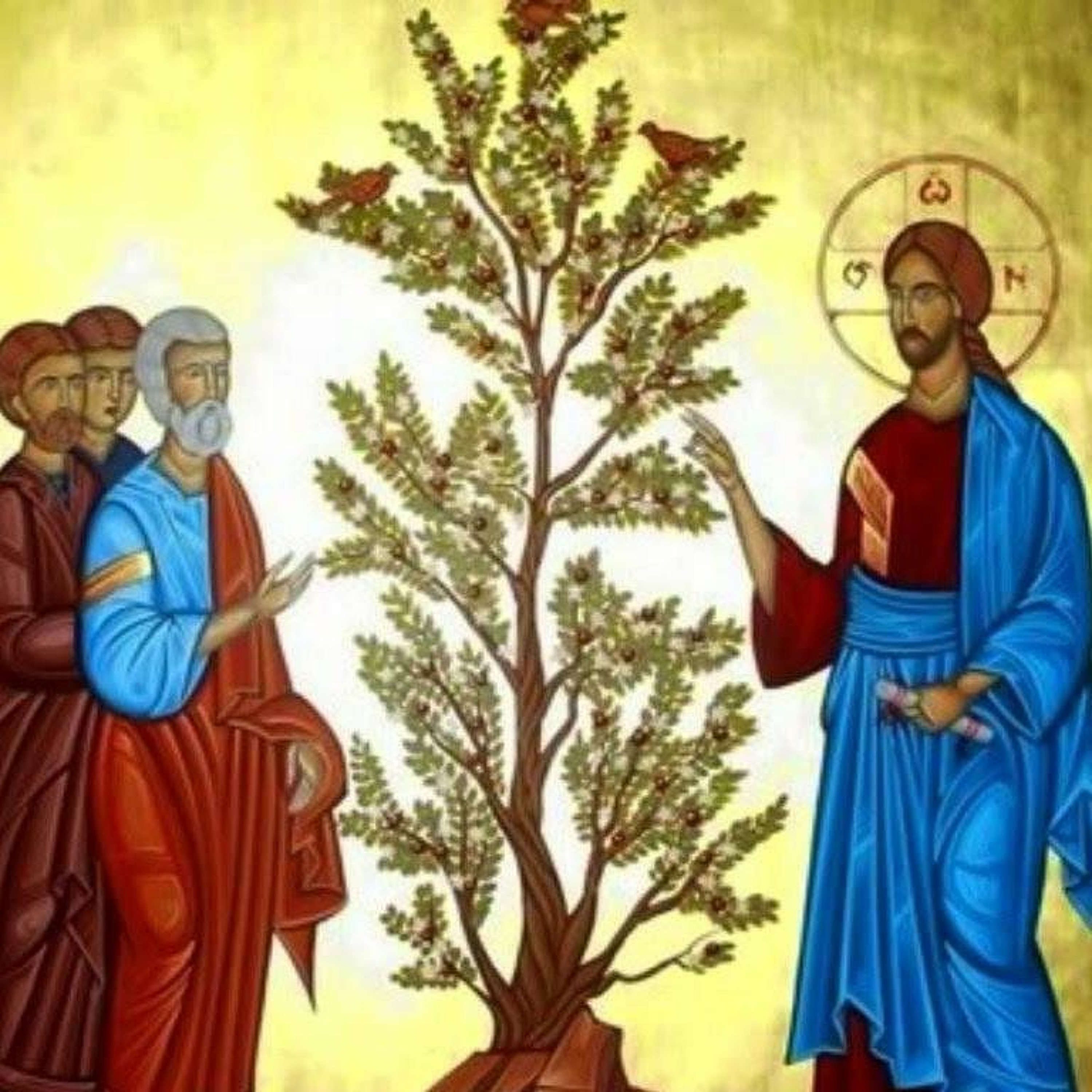 Sixth Sunday Remaining after Epiphany (2018)