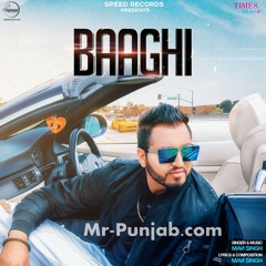 Baaghi _ Mavi singh