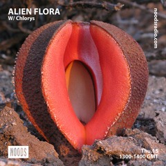 Alien Flora w/ Chlorys ─ Noods Radio (15.11.18)