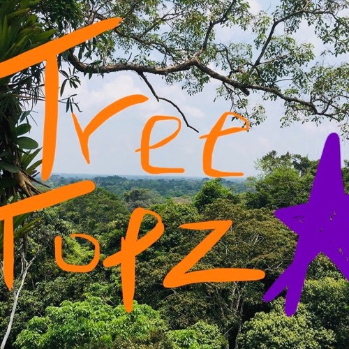 TREETOPZ (Sadboi Carti X Reezy X Lil Fabo)(Prod. by Ocean Beats)