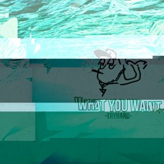 WHAT YOU WANT