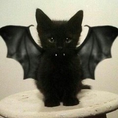 Evil Angel (Breaking Benjamin Cover)