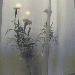 твои волосы пахнут виноградом