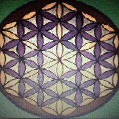 SHEEPDANCE in La Contraviesa