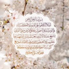 آية الكرسي ﴿ اللَّهُ لَا إِلَٰهَ إِلَّا هُوَ الْحَيُّ الْقَيُّومُ ۚ﴾  #البقرة #أحمد_النفيس 🤲🏻