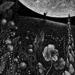 New & hot: Ambient