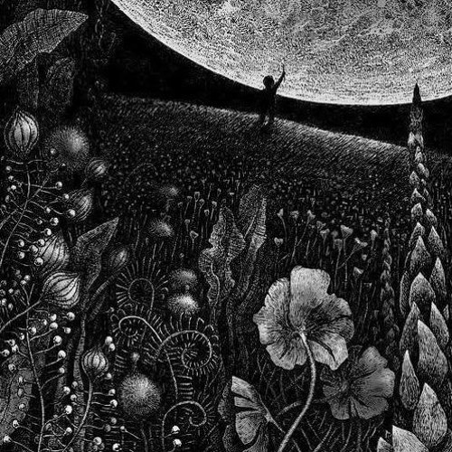 New & hot: Ambient