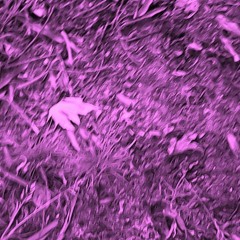 Touch Of The Past 1.2